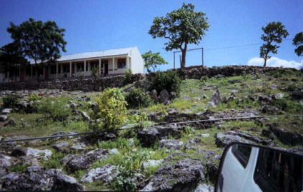 Photo for Figure 1