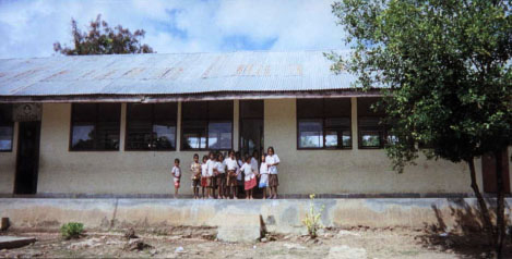 Photo for Figure 2